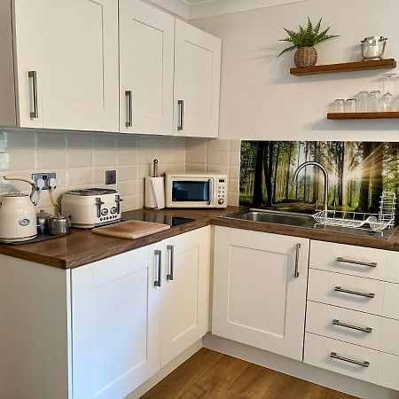Coastal Garden Annex With Log Fire & Summer House Aberporth Ngoại thất bức ảnh